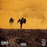 Ozymandias (feat. Dustmyte) - Single - Yung Rare