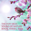 The Very Best Sound of Nature - Birds, Waves, Rain (with Forest, Creek, Wind, Thunder) [Sound for Relaxation, Meditation, Healing, Massage, Deep Sleep, Yoga] - Life Sounds Nature