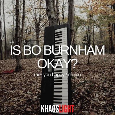 Is Bo Burnham Okay? (Are You Happy Remix) [Are You Happy Remix] - Single
