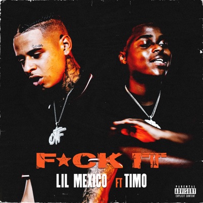 Fuck It (feat. TiMo) - Single