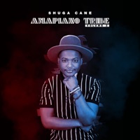 Amapiano Tribe 2 - Shuga Cane