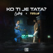 Ko Ti Je Tata? artwork