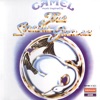 Camel - The Great Marsh