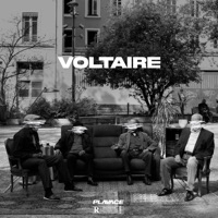 Voltaire - PLAVACE