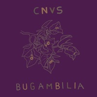 Bugambilia - Single - Cnvs