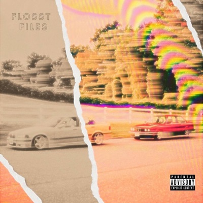 Flosst Files - Single
