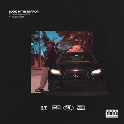 Look In the Mirror - Single