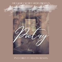 Poetry (feat. Fellow Human) - Single - PVO Chilly