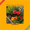 Flowers Grow - Single