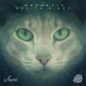 Ode to a Boy EP
