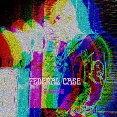 Federal Case - Single