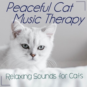 Peaceful Cat Music Therapy: Relaxing Sounds for Cats