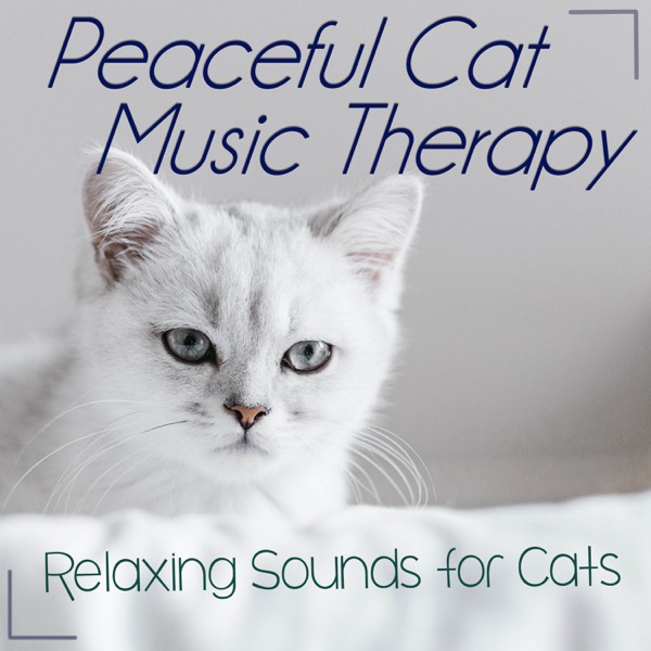 Download Cat Music, Cat Music Dreams & RelaxMyCat Peaceful Cat Music Therapy: Relaxing Sounds for Cats Album MP3