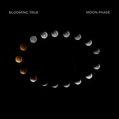 Moon Phase - Single