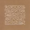 Asa Tone - Visit from Tokay
