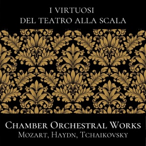 Serenata per archi in C Major, Op. 48: III. Elegia. Larghetto elegiaco (Live Recording)