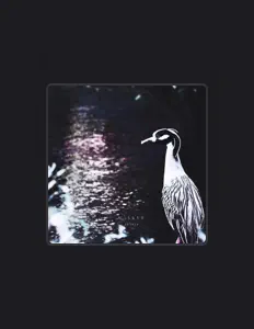 Wisper을(를) 듣고, 뮤직 비디오를 보고, 약력을 읽고, 투어 일정 등을 확인하세요!