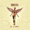 Heart-Shaped Box - Nirvana