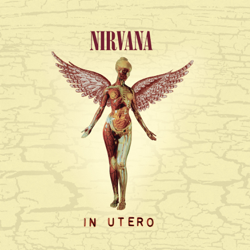 In Utero (20th Anniversary Edition) - Nirvana Cover Art