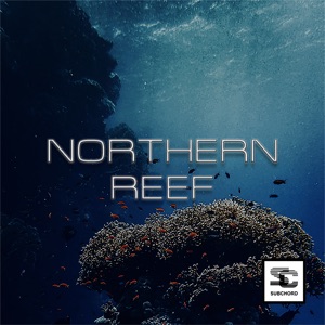 Northern Reef - Single