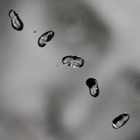 Up - Peter Gabriel