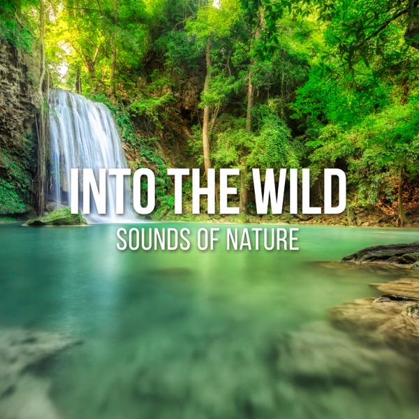 Into the Wild - Sounds of Nature for Hypnosis, Relaxation and Meditation