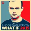 What If 2K15 (Radio Edit)