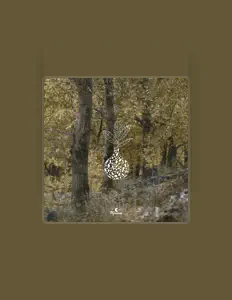 Listen to tender spring, watch music videos, read bio, see tour dates & more!