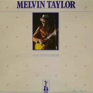 Plays the Blues for You (Blues Power) [feat. Lucky Peterson, Titus Williams & Ray "Killer" Allison]