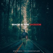 Step Rideau & The Zydeco Outlaws - Back 2 the Woods