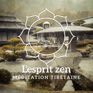 L'esprit zen - Méditation tibétaine pour purifier l'esprit et les pensées, Sophrologie & bien-être, Yoga harmonie, Relaxante buddhist méditation