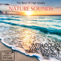 The Best of High Quality Nature Sounds With Ocean Waves, Rain, Birds, Creek &amp; Forest - Life Sounds Nature Cover Art