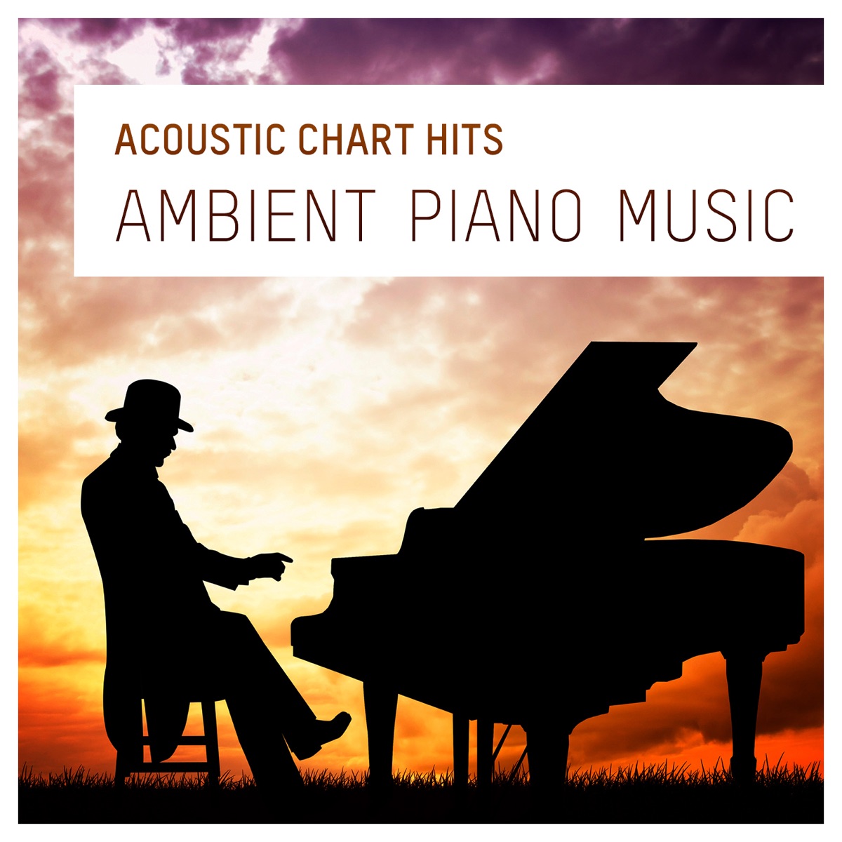 Acoustic Chart Hits (Ambient Piano Music) - Album by The Piano Man - Apple  Music