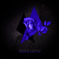 Someone Like You - Single - Drumtap & SHELLS