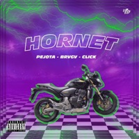 Hornet (feat. BRVGV & Click) - Single - Pejota