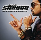 Shaggy - Angel