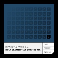 Hulk (Camelphat 2017 Re-Fix) - Single - DJ Wady & Patrick M