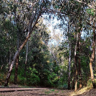 Numeros y señales - Single