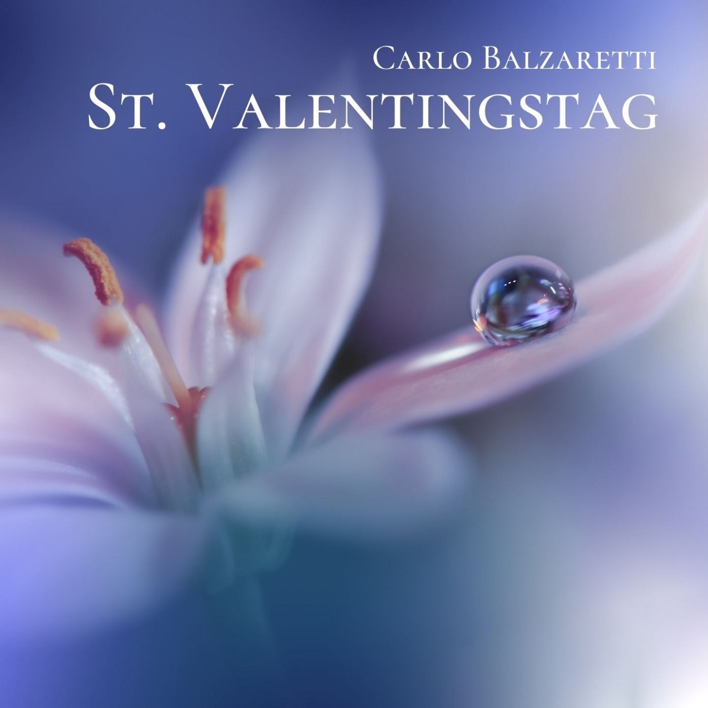 St. Valentingstag - Single