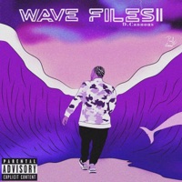 Wave Files 2 (Slowed & Reverbed) [Slowed & Reverbed] - D. Cannons