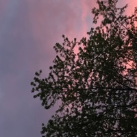 Exploration - Single - Dee-Bee