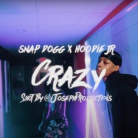 Crazy (feat. Snap Dogg) - Single - Hoodiejr