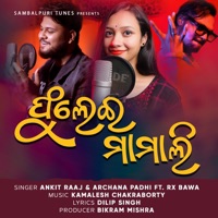 Fulei Mamali (feat. RX Bawa) - Single - Ankit Raaj & Archana Padhi