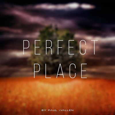 Perfect Place - Single