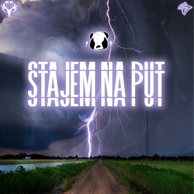 Stajem Na Put (feat. Dj Silent) - Single