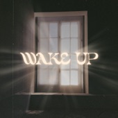 Wake Up (Live) artwork