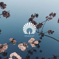 Caprice - Single - Oliver Schories & Tube & Berger