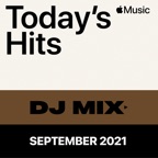 Cold Heart (PNAU Remix) [Mixed]