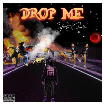 Drop Me! - Single