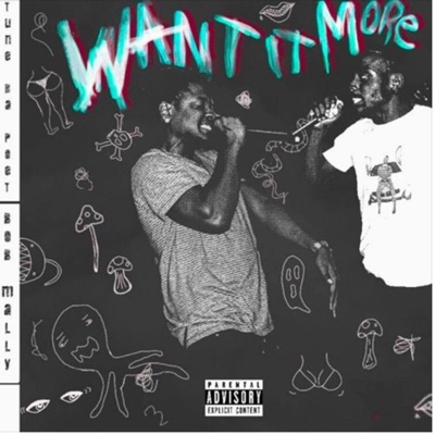 Want It More (feat. TuneDaPoet) - Single